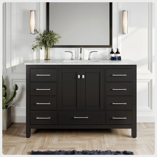 Eviva Aberdeen 48 inch Transitional Bathroom Vanity